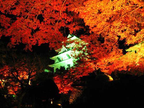 Asano Ryokan Gujo Esterno foto